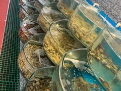 水产区-仙螺岛海鲜自助餐厅(总店)