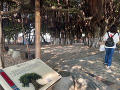 -胡里山炮台