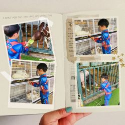 -小蜜蜂农场(凯德七宝购物广场店)
