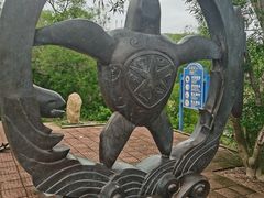 -广东惠东海龟国家级自然保护区
