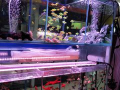 -三旗百汇商品城