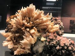 -湖南省地质博物馆