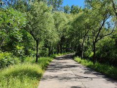 -云岫谷游猎自然风景区