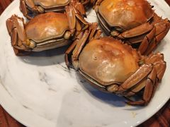 大闸蟹-西安W酒店·WEI全味西餐厅