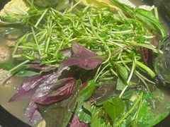 -一朵菌·野生菌探索家火锅(南亚店)