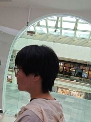 -YESIDO椰岛造型