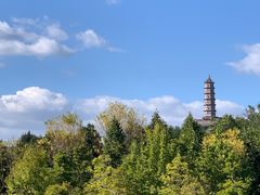 -北坞公园