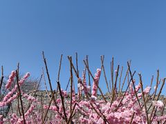 -北京明城墙遗址公园