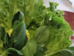 -食潮汕头鲜牛馆(望京保利店)