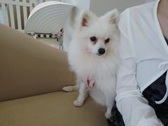 -怪兽屋·羊驼·猫咖·狗咖(俊华广场店)