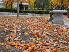 -元大都城垣遗址公园