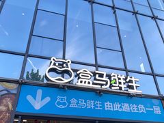 -盒马鲜生(大行宫店)