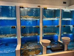 -赶海部落海鲜城(海阳路店)