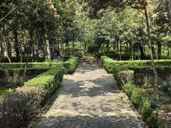 -上海佘山国家森林公园天马山园