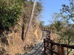 -羚羊峡古栈道森林公园
