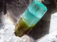 -湖南省地质博物馆