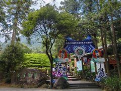 -姑婆山旅游区