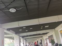 -棕榈泉国际高尔夫学院