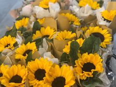 -卓花境Flowerwonderland花店