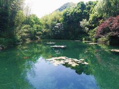 -天目湖山水园