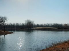 -东郊湿地公园