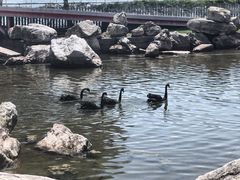 -西昌邛海宾馆