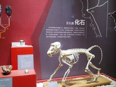 -国家自然博物馆