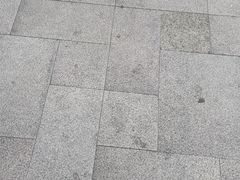 -探鱼·鲜青椒爽麻烤鱼(番禺万达店)
