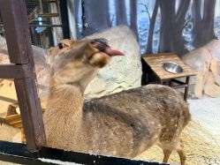 -酷嗒动物文化乐园(cutezoo西溪乐天城店)