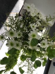 -HEYAN荷妍专业脱毛连锁机构