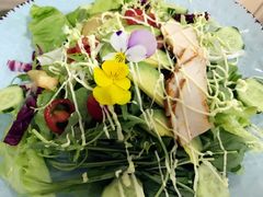 wkate&nbsp;salad-威克特披萨汉堡