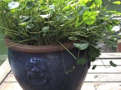 -天目湖御水温泉·度假酒店