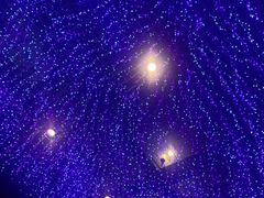 -远洋未来广场(育慧北路店)