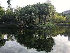 -晓港公园