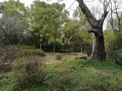 -光明港公园