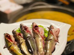 现划黄辣丁-园里火锅(仁和新城店)