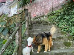 -东南悬空寺方广岩