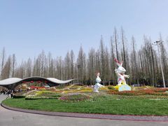 -东平国家森林公园