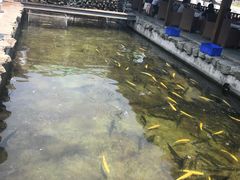 -京北渔家傲
