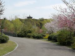 -梁鸿国家湿地公园
