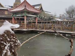 -呀路古热带植物园