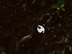 -宝界山林公园