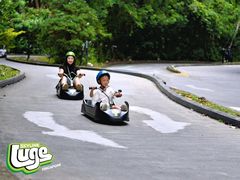-圣淘沙天际线斜坡滑车