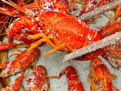 -霸王虾·麻辣小龙虾(清水河公园店)