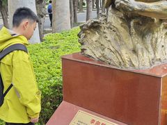 -南宁南湖公园