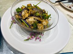 -海派美食·家宴海鲜青岛菜·石锅鲽鱼头(东方城店)