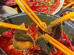 -阳阳老火锅(小南门店)
