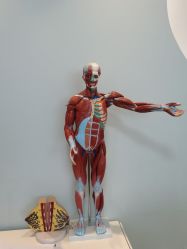 -芊尔美依产后修复中心(朝阳大悦城店)