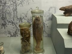 -杭州胡庆余堂第二中医门诊部
