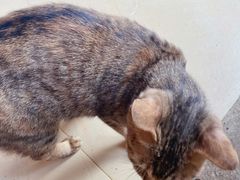 -鱼乐岛餐厅·户外花园主题餐厅